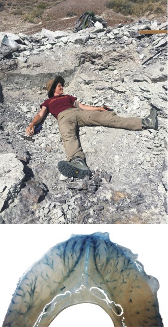 Emily Lessner, Kennett Square, PA. B.S. Virginia Tech.